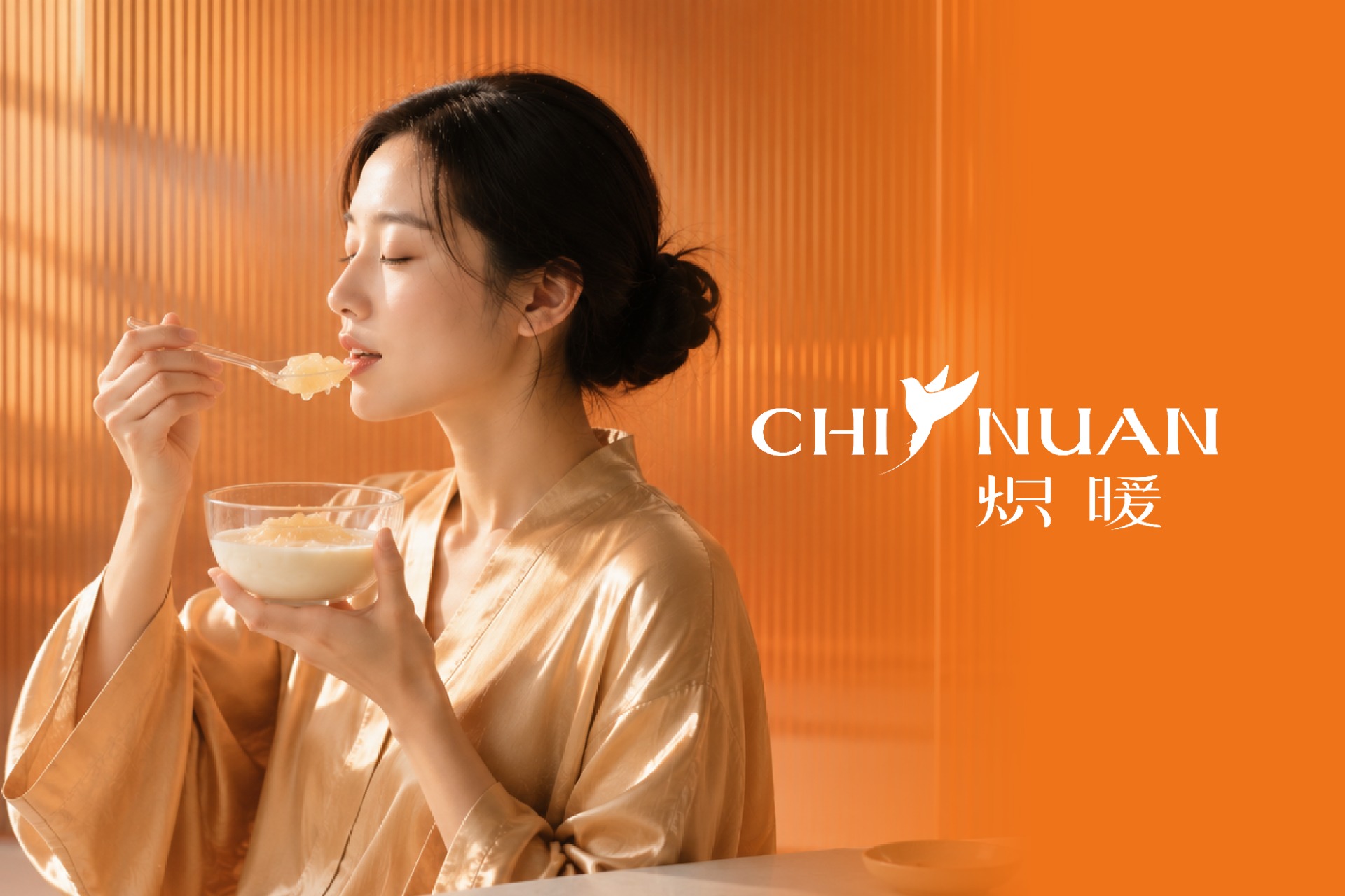 炽暖燕窝标志设计