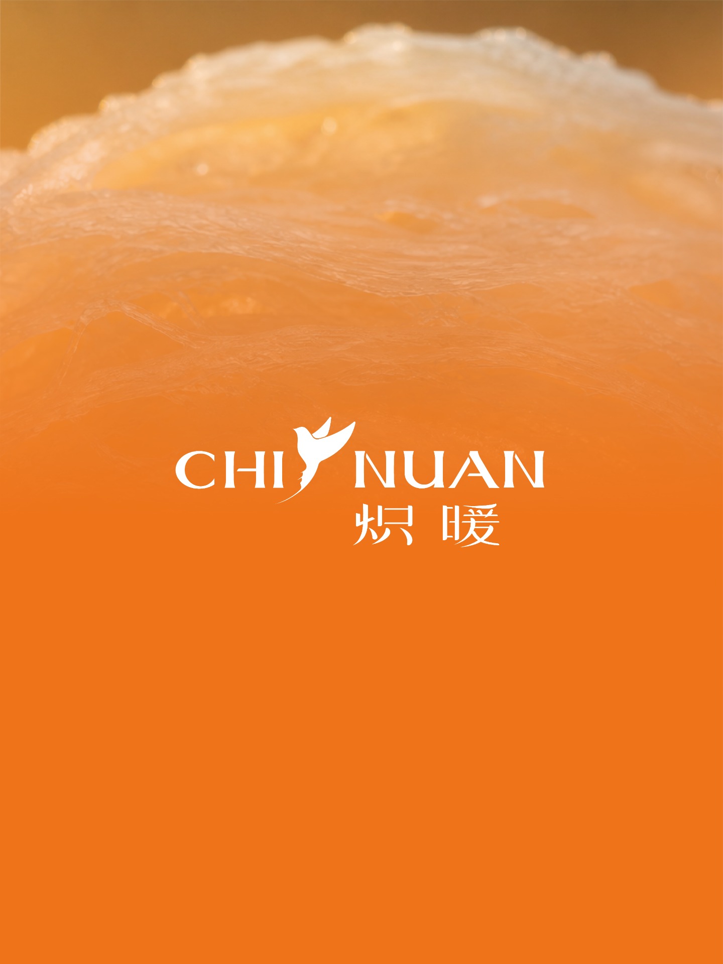炽暖燕窝标志设计